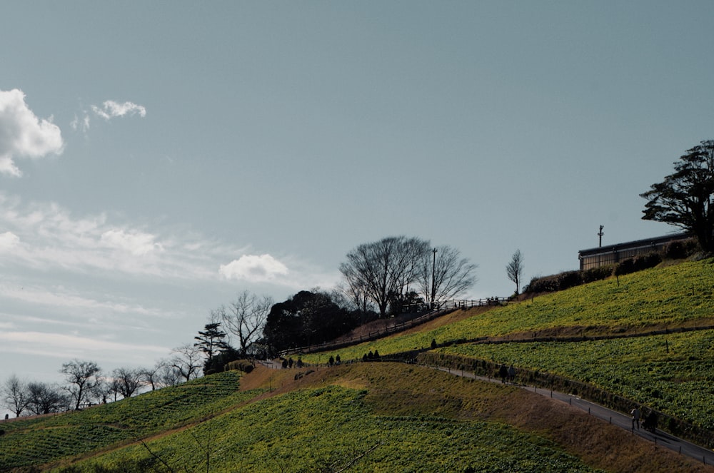 a grassy hill with a church on top of it