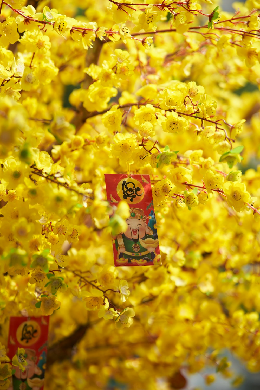 a tree with yellow flowers and a red and white sign