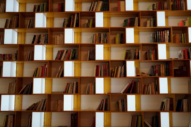 A wooden bookshelf is filled with a variety of books arranged horizontally and vertically. The shelves are interspersed with rectangular light panels, providing a modern and artistic look. Books of different colors and sizes are neatly organized, creating an aesthetic display.