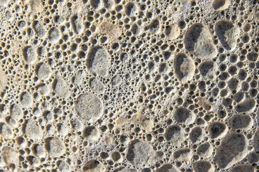 a close up of a rock with small holes in it