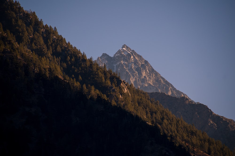 a tall mountain with trees on the side of it