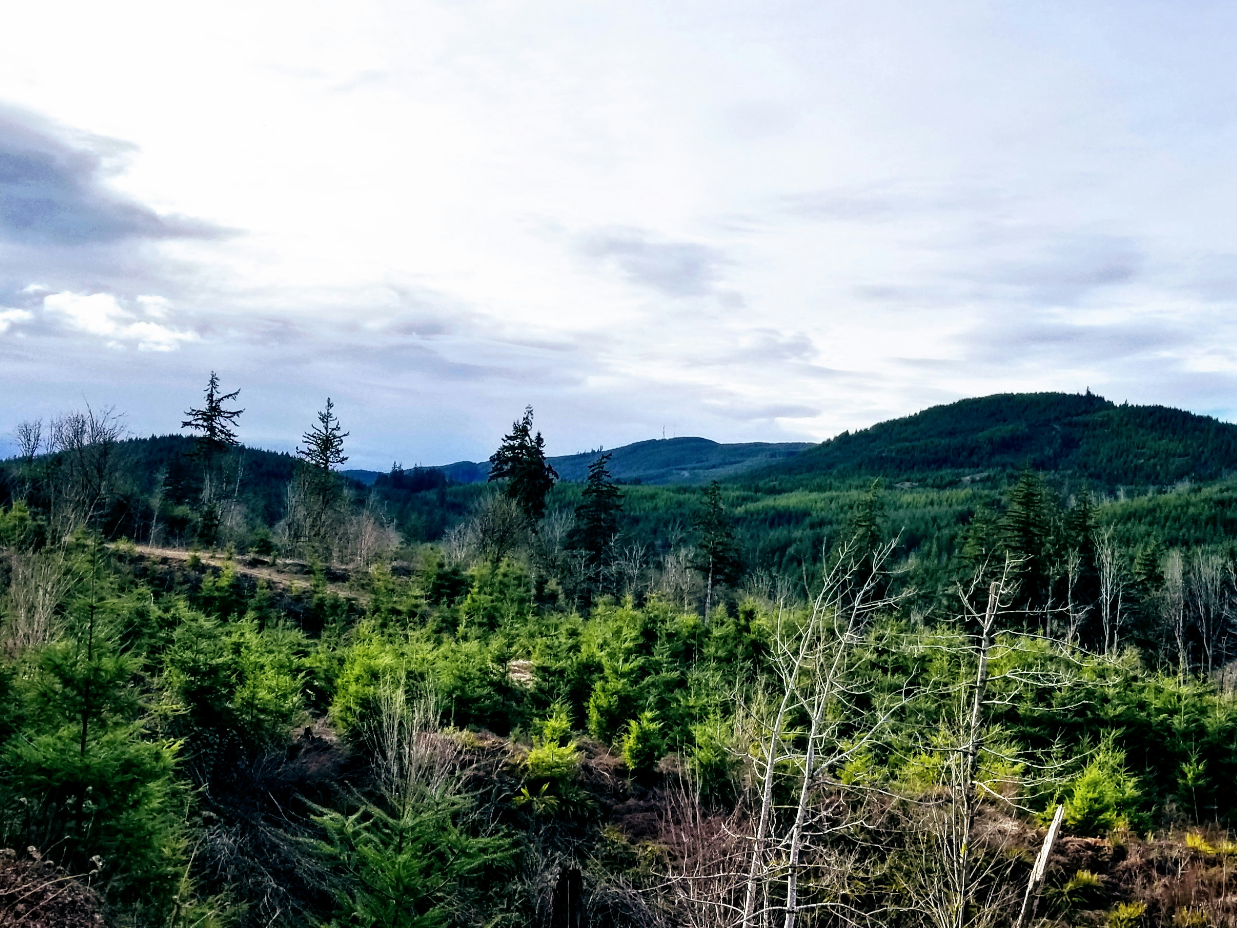 Photo by prphotography262