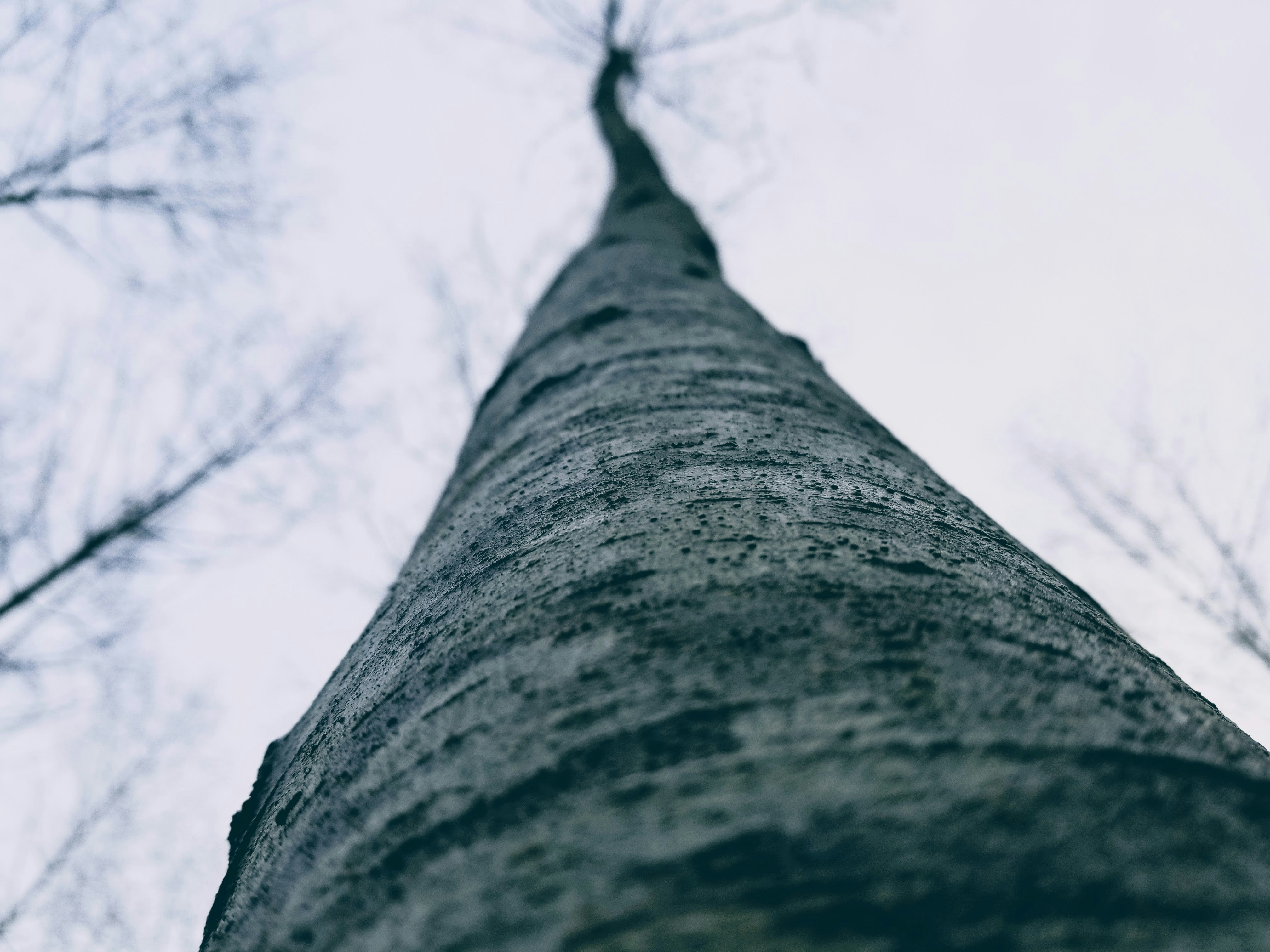 Photo by prphotography262