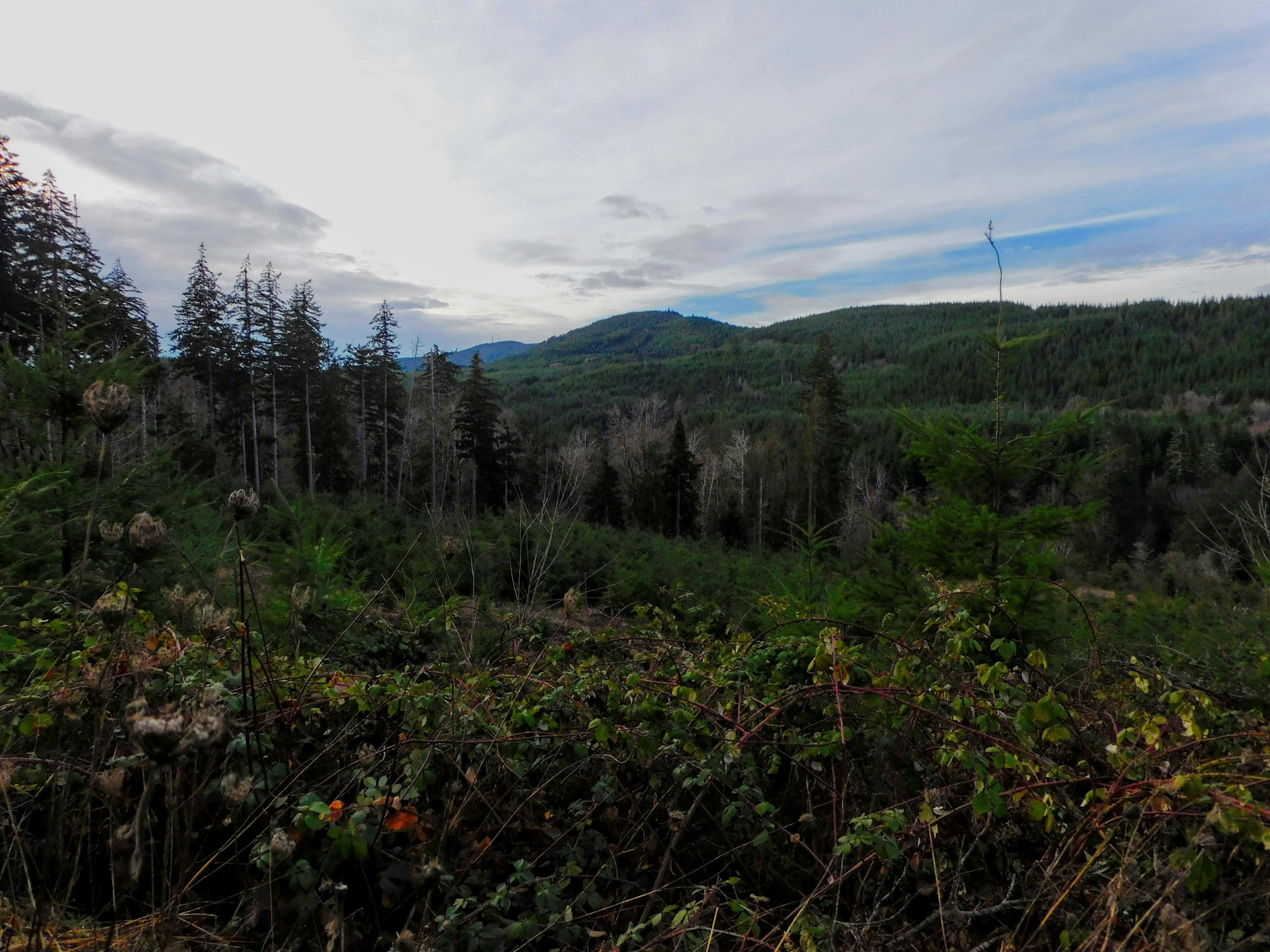 Photo by prphotography262