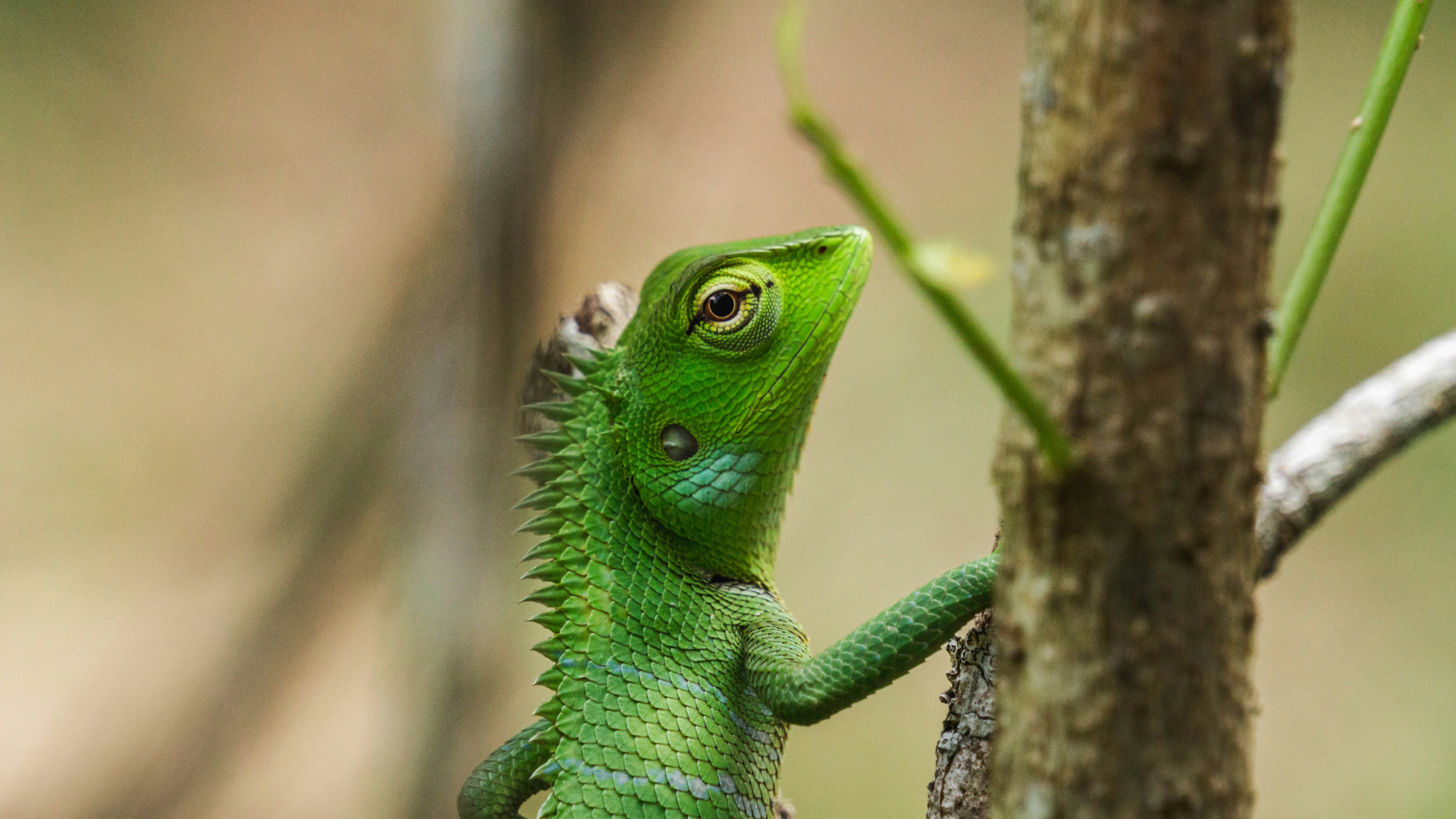 Photo by anainsomnia