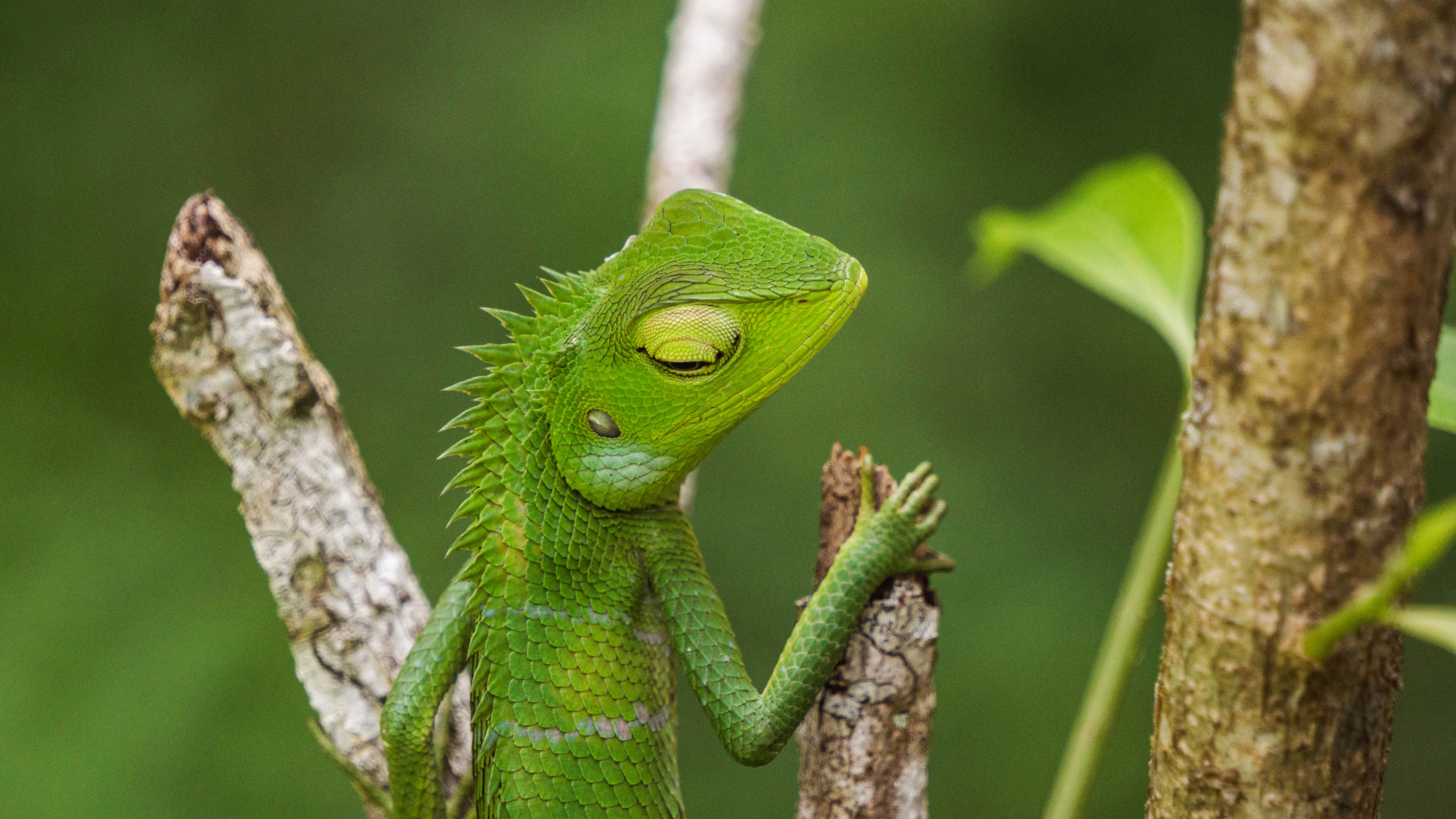 Photo by anainsomnia