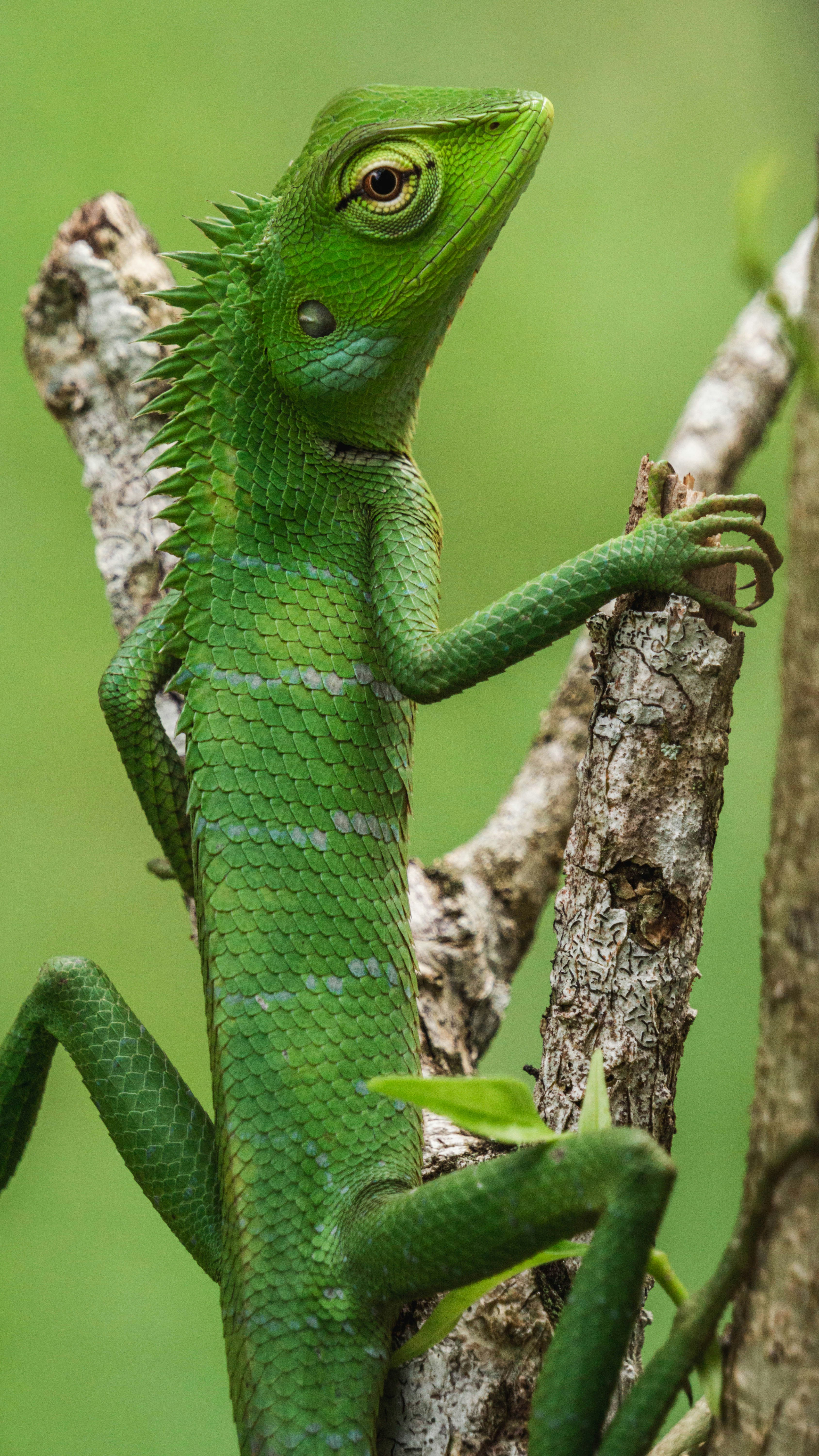 Photo by anainsomnia