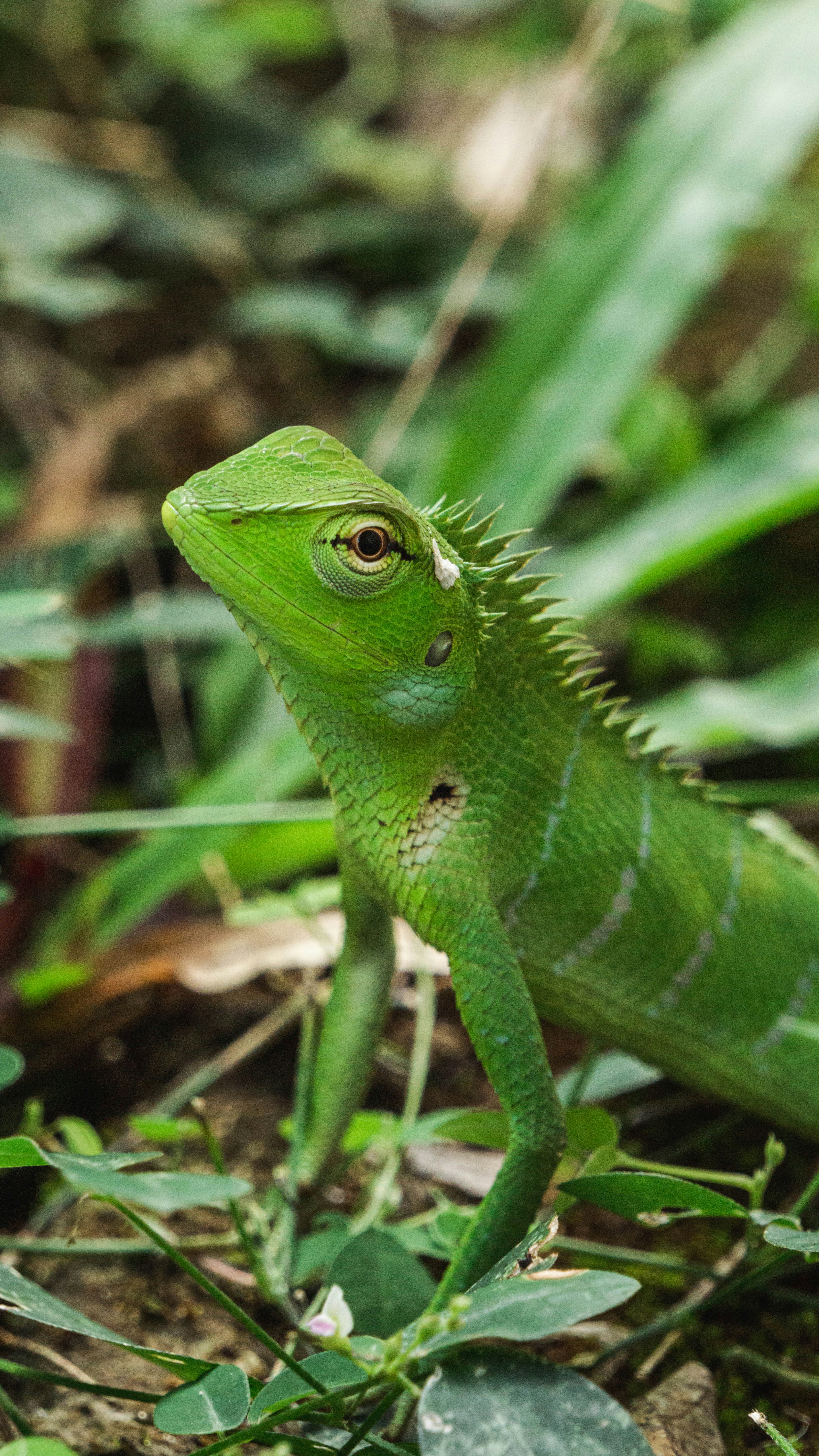 Photo by anainsomnia