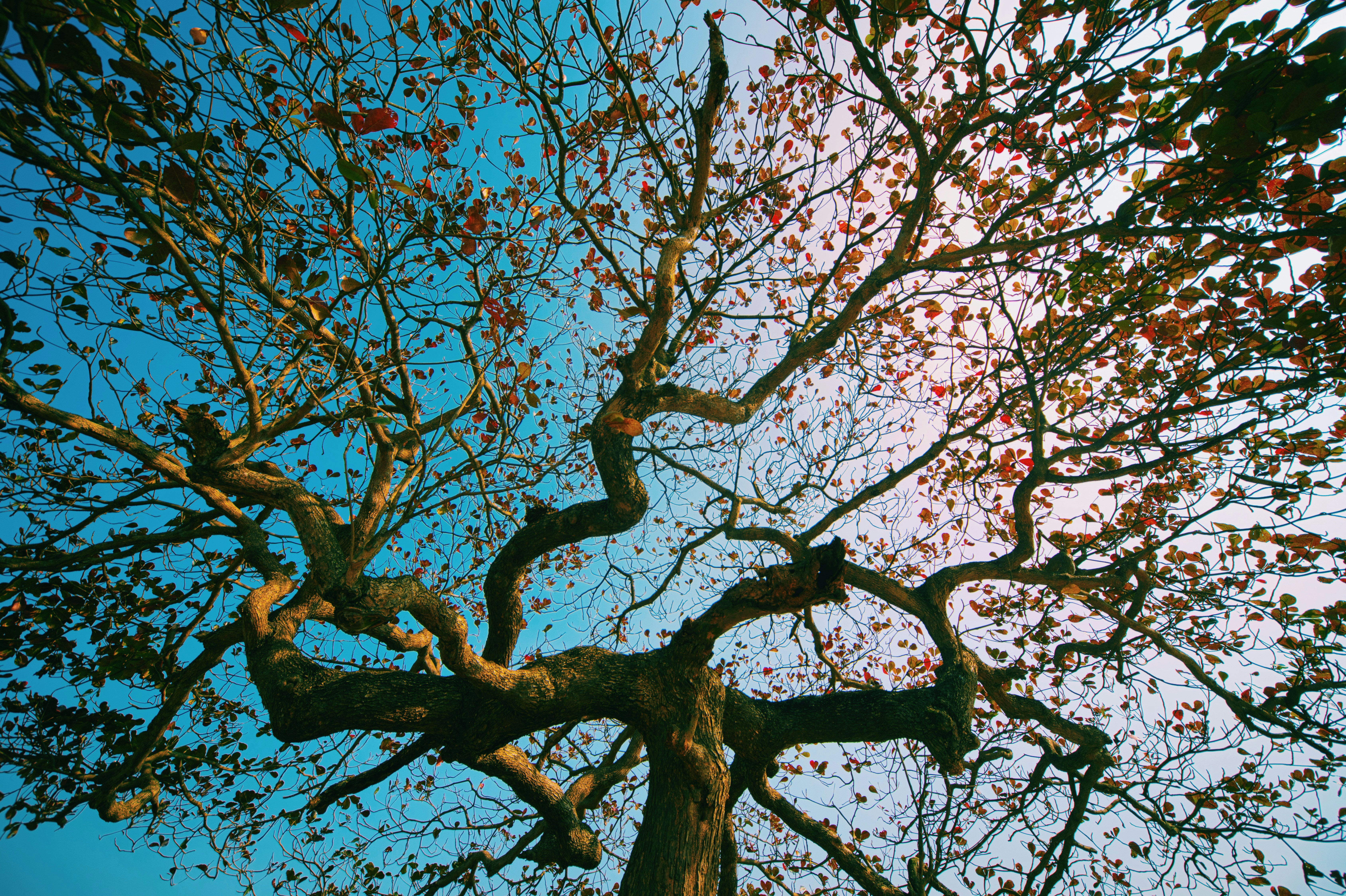 Photo by magicaleye7