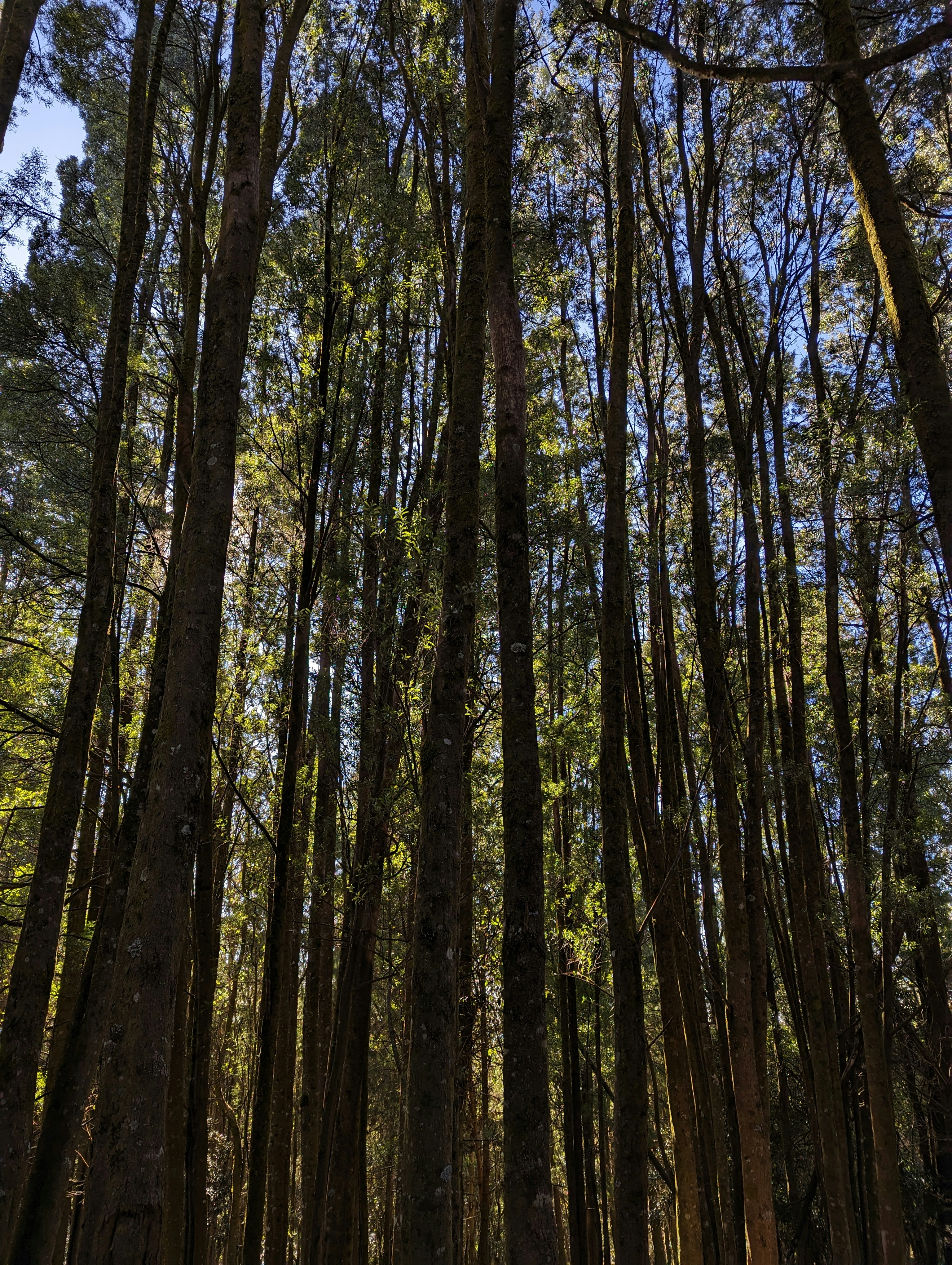 Photo by sahil_ibn_sarafudeen