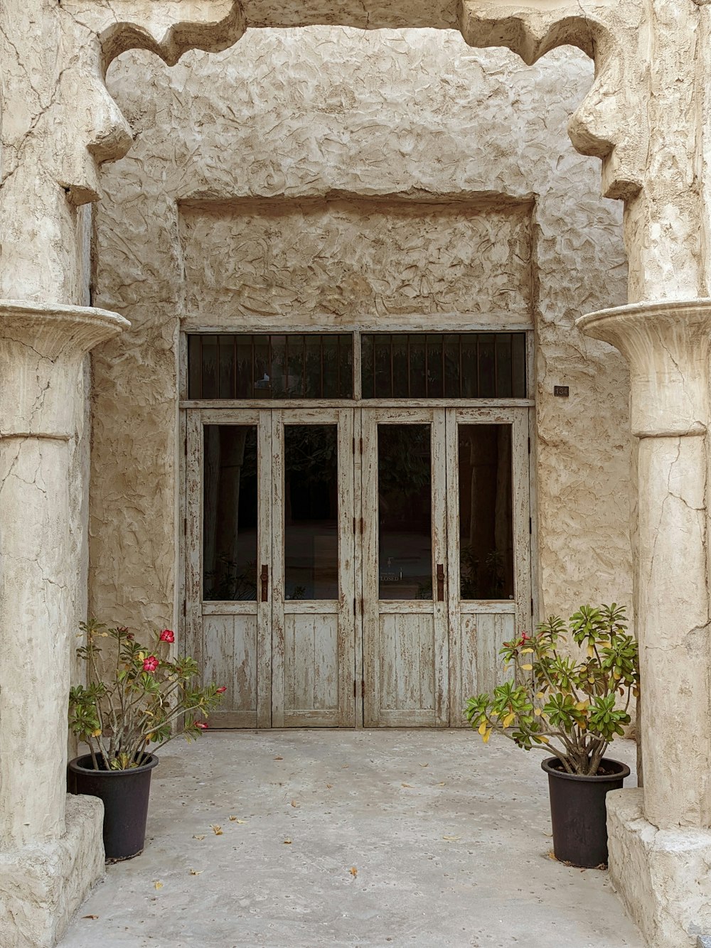 a couple of potted plants sitting in front of a doorway