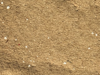 A close-up view of a textured brown surface with small white specks scattered throughout. The material appears fibrous, suggesting it might be a piece of cardboard or recycled paper.