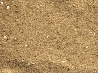 A close-up view of a textured brown surface with small white specks scattered throughout. The material appears fibrous, suggesting it might be a piece of cardboard or recycled paper.