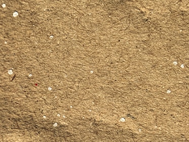 Close-up of recycled materials used in eco-friendly construction.