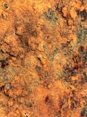 A close-up view of rusty, textured metal surface with various shades of orange and brown. The image captures the rough, uneven corrosion patterns that characterize rust.