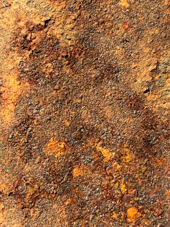 A close-up of a textured mixed media painting with layers of rusted sienna and deep moss hues.