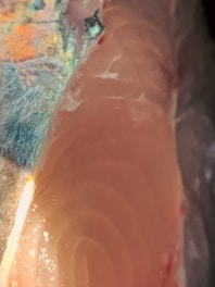 Close-up view of raw fish flesh with visible muscle fibers. The texture is smooth with translucent areas, and the fish's scales show various colors ranging from blue to orange. There is a clear separation between the skin and the flesh.