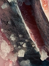 Image of fish slices with skin and center bone.