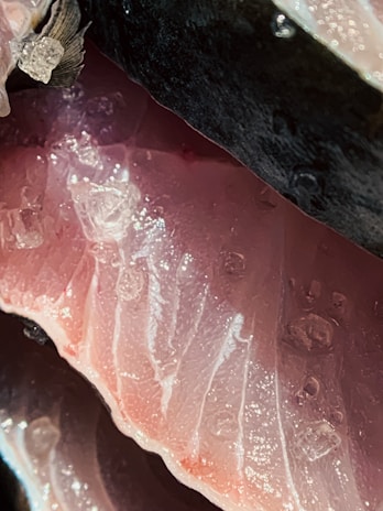 Close-up of ice crystals on fresh seafood, highlighting freshness and quality.