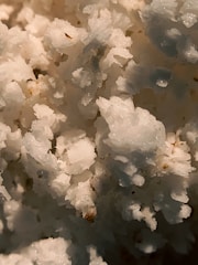 Close-up image of white crystalline flakes with a rough texture and a few darker specks scattered throughout.