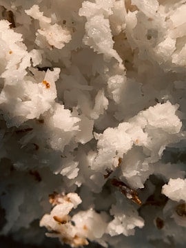 Close-up view of white, fluffy, textured substance resembling shredded coconut with small brown specks scattered throughout.
