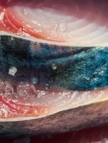 Close-up of the texture and quality of frozen fish fillets under bright lighting.