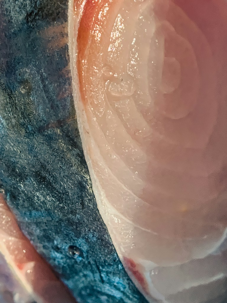 Clean River Fillets