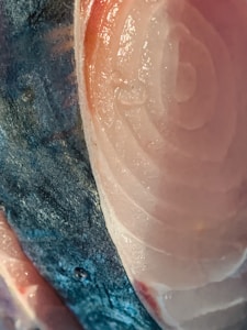 Clean River Fillets