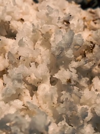 Close-up of crumbled or grated white substance with a slightly rough texture and hints of brown specks.