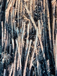 Eco Fiber Sticks