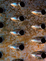 Close-up of textured alloy zinc coating showing its protective layer and quality