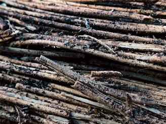 Close-up of a single derit bundle tied with a rustic string, highlighting texture and detail.