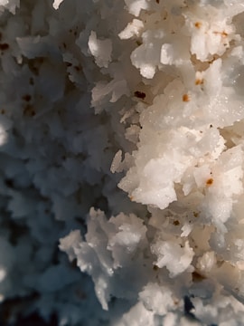 A close-up view of coarse, white crystalline structures that appear to be salt or sugar. The surface is uneven, with some small brown specks scattered throughout.