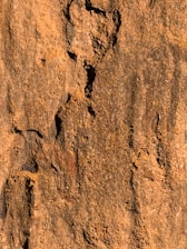 A detailed close-up of an eco-friendly construction material sample with texture visible.