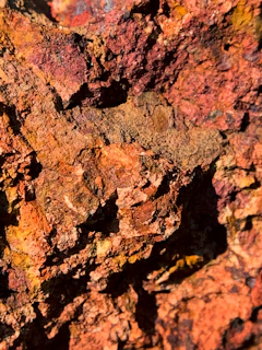 Close-up of the surface of Mars showing its rocky terrain and reddish hues under sunlight.