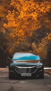 a car parked on the side of the road in front of a tree