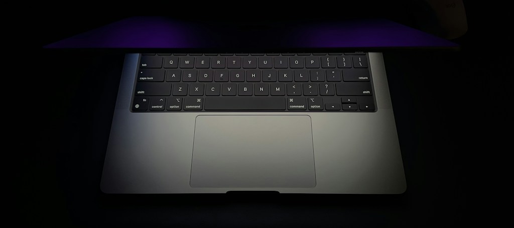 Vector Slim Laptop