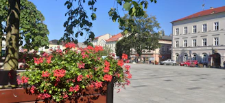 A local reporter interviewing a community member in a sunny town square.