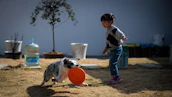 A joyful pet playing with a child in a green backyard.