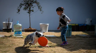A happy family playing with their energetic dog surrounded by pet food bags and sports equipment in a backyard.