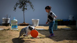 A joyful pet playing with a child in a green backyard.