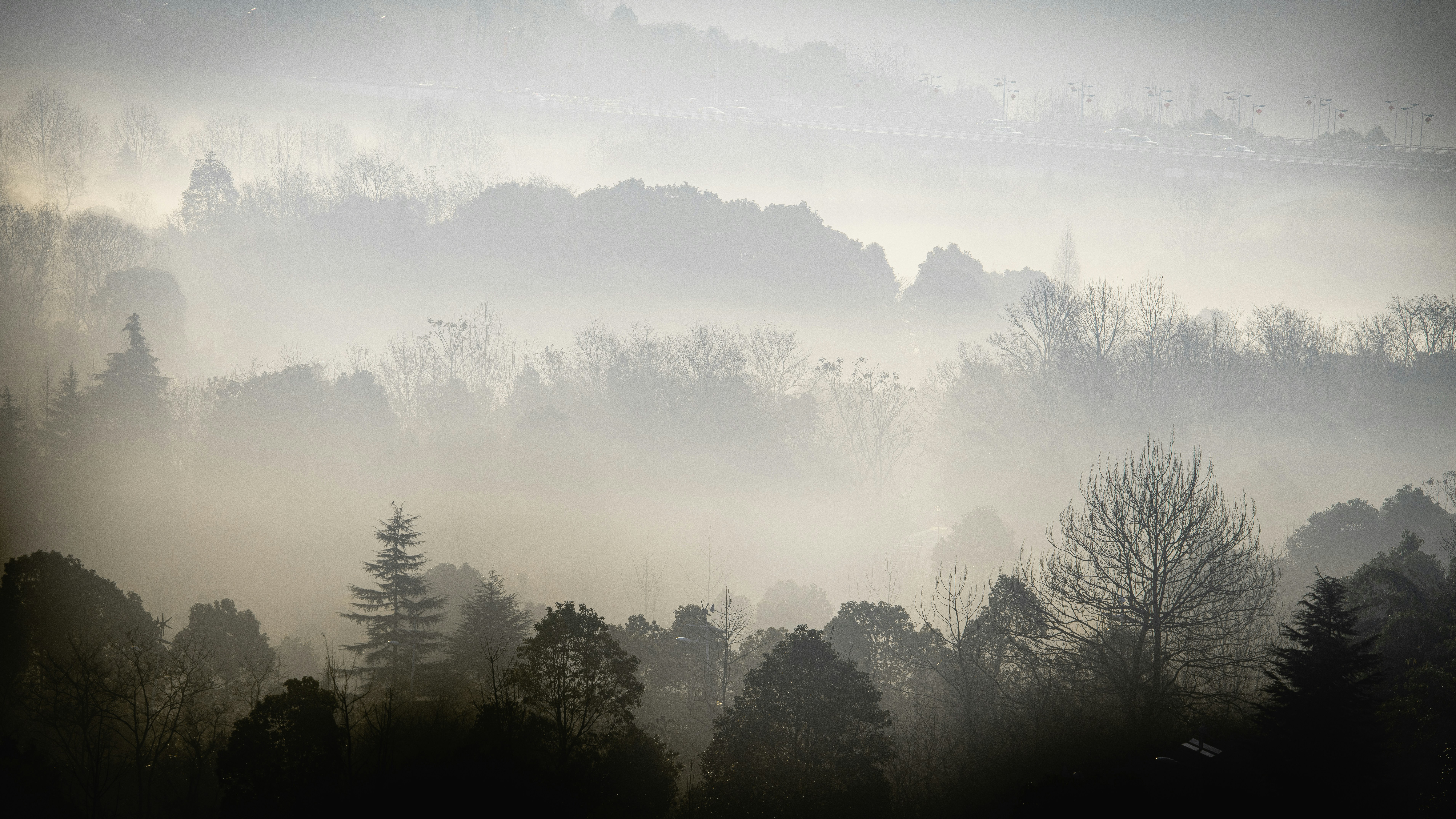 photo-1673776784151-55c375fc6fe3