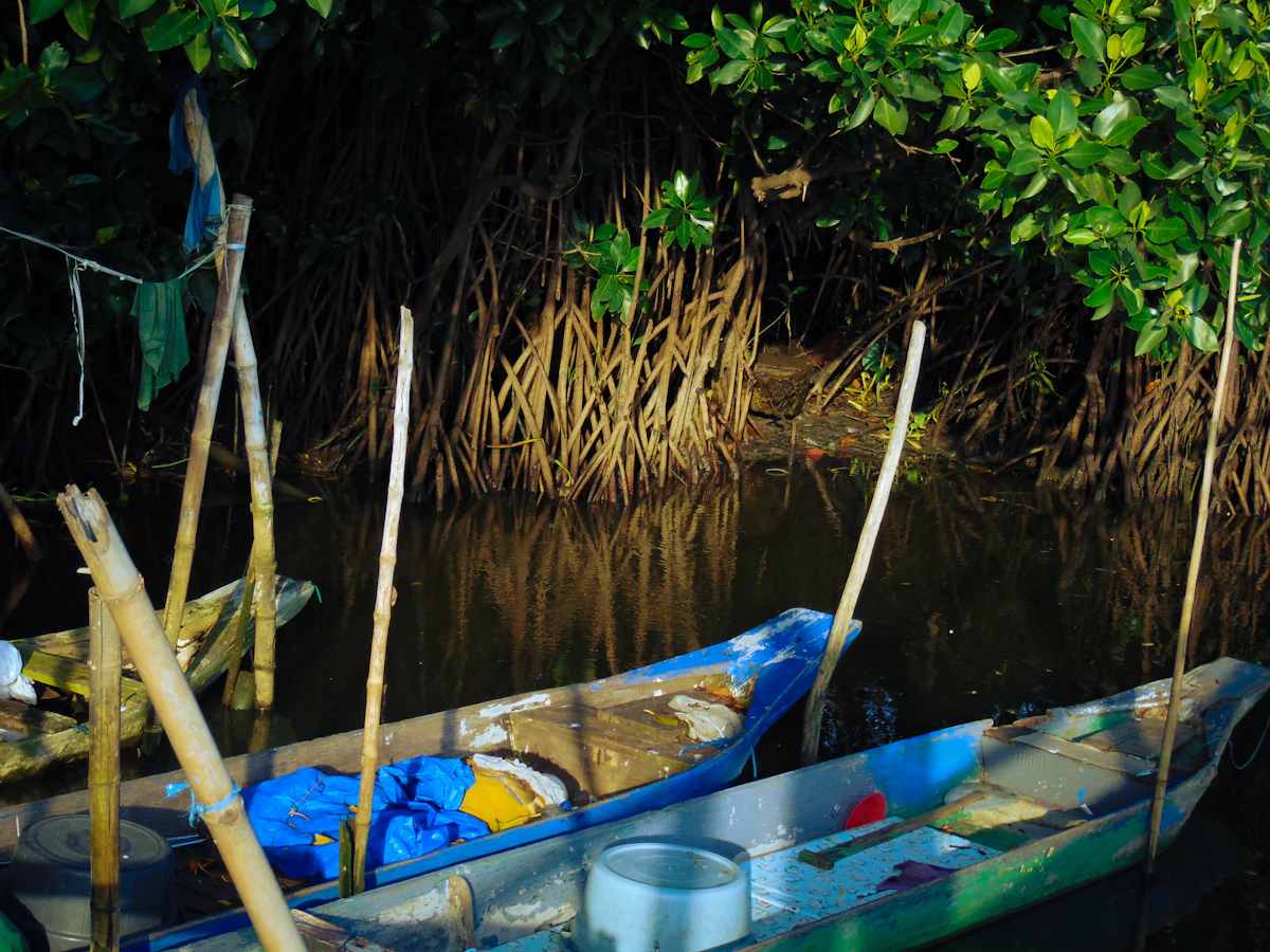 Sebung River Mangrove Eco-Safari & Firefly Night Cruise