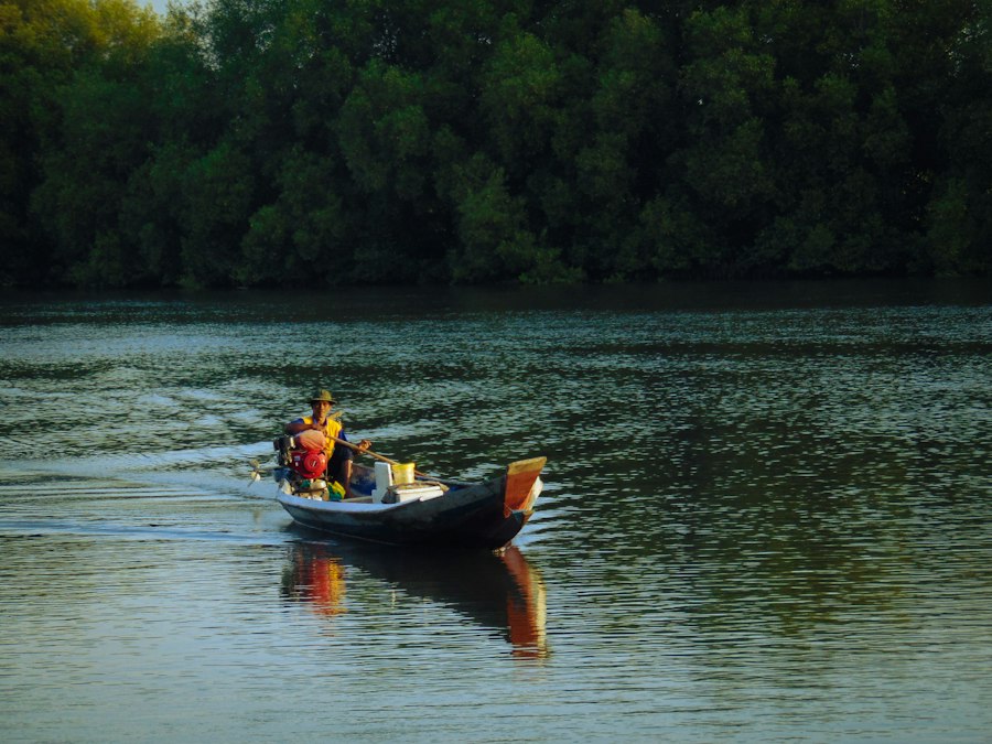 Barco em lago