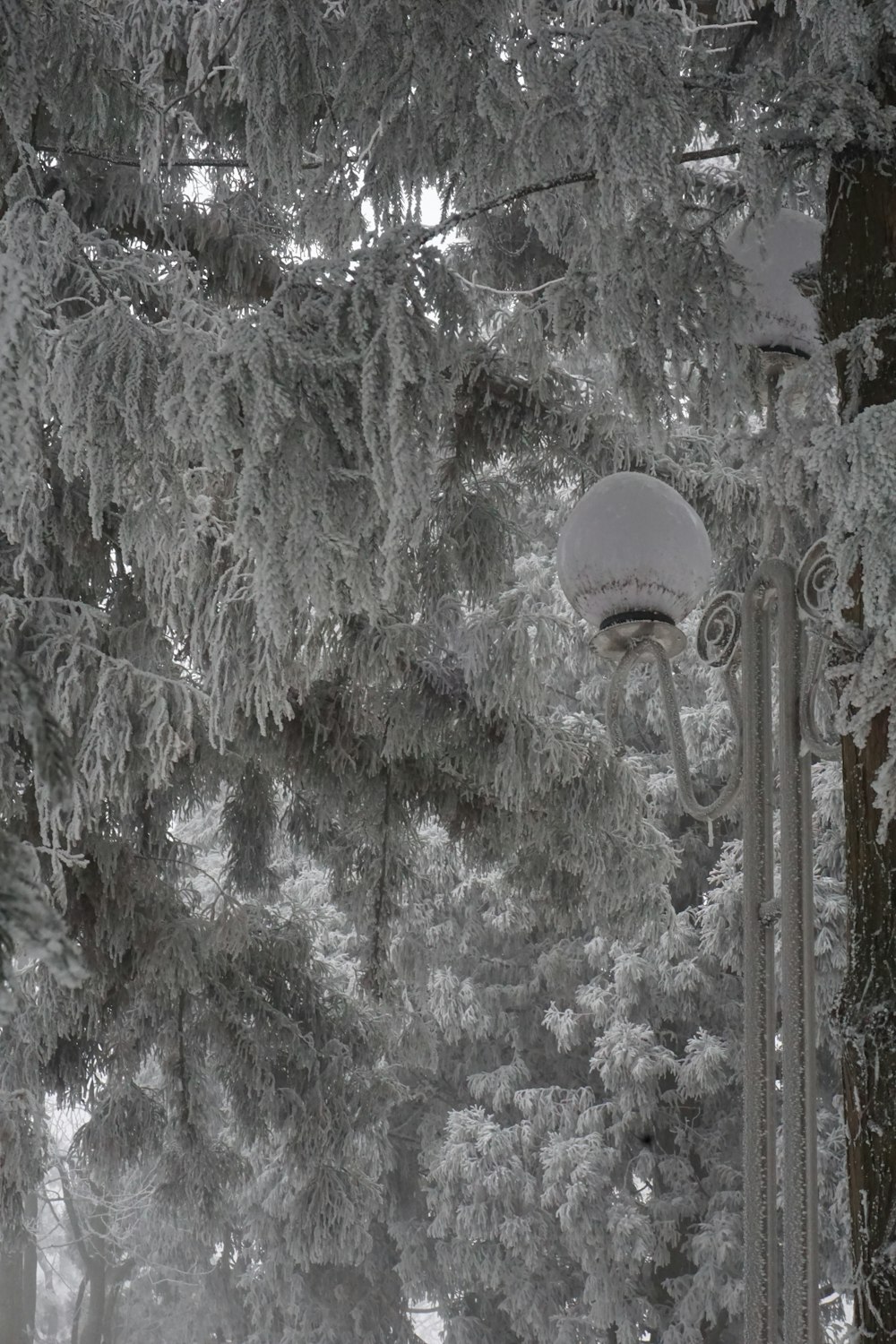 a street light in the middle of a snowy park