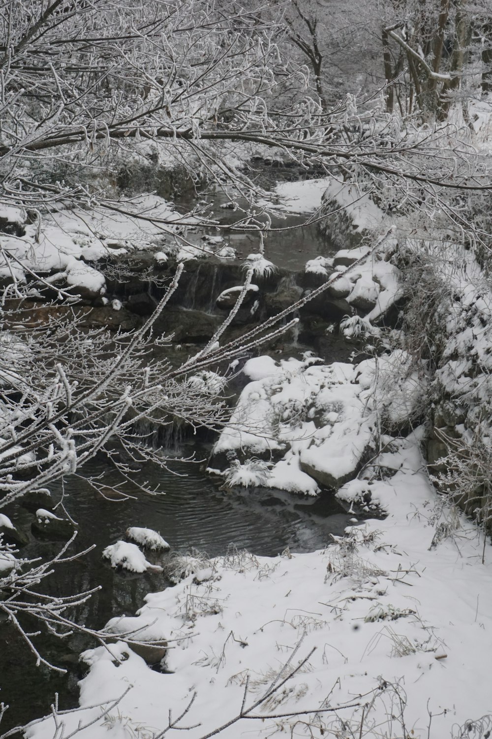 a stream running through a snow covered forest