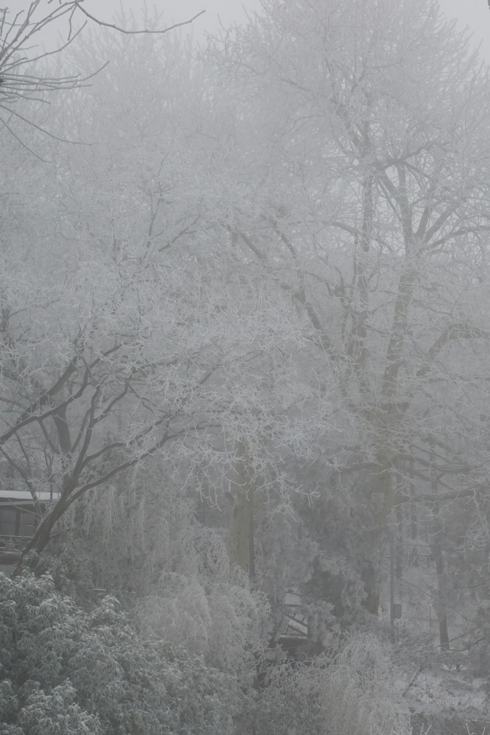 a park bench covered in snow next to trees