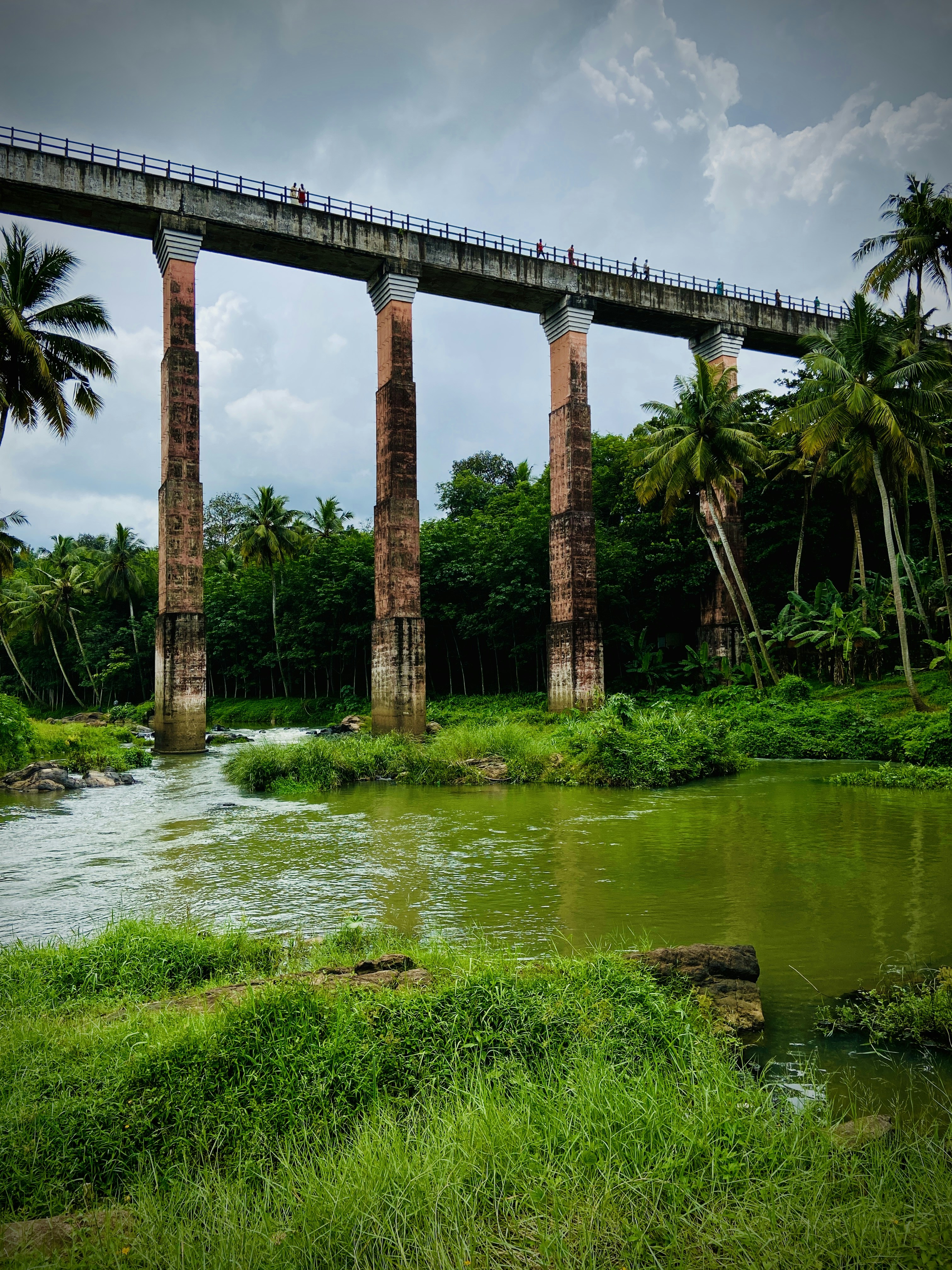 jembatan di atas sungai dengan pohon palem di latar belakang