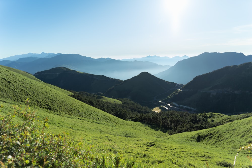 a grassy field with mountains in the background