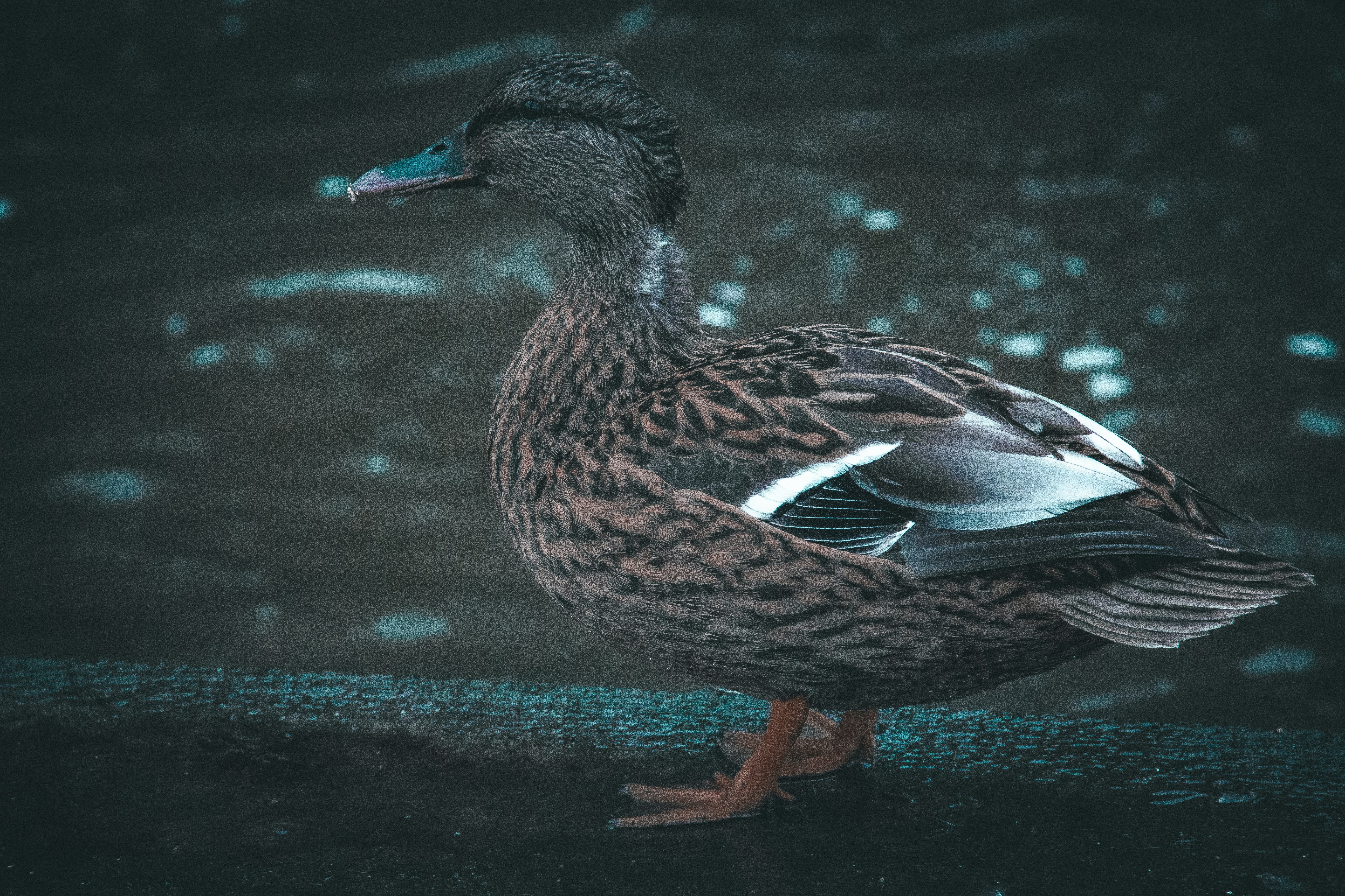 Photo by charlieh_viewfinder